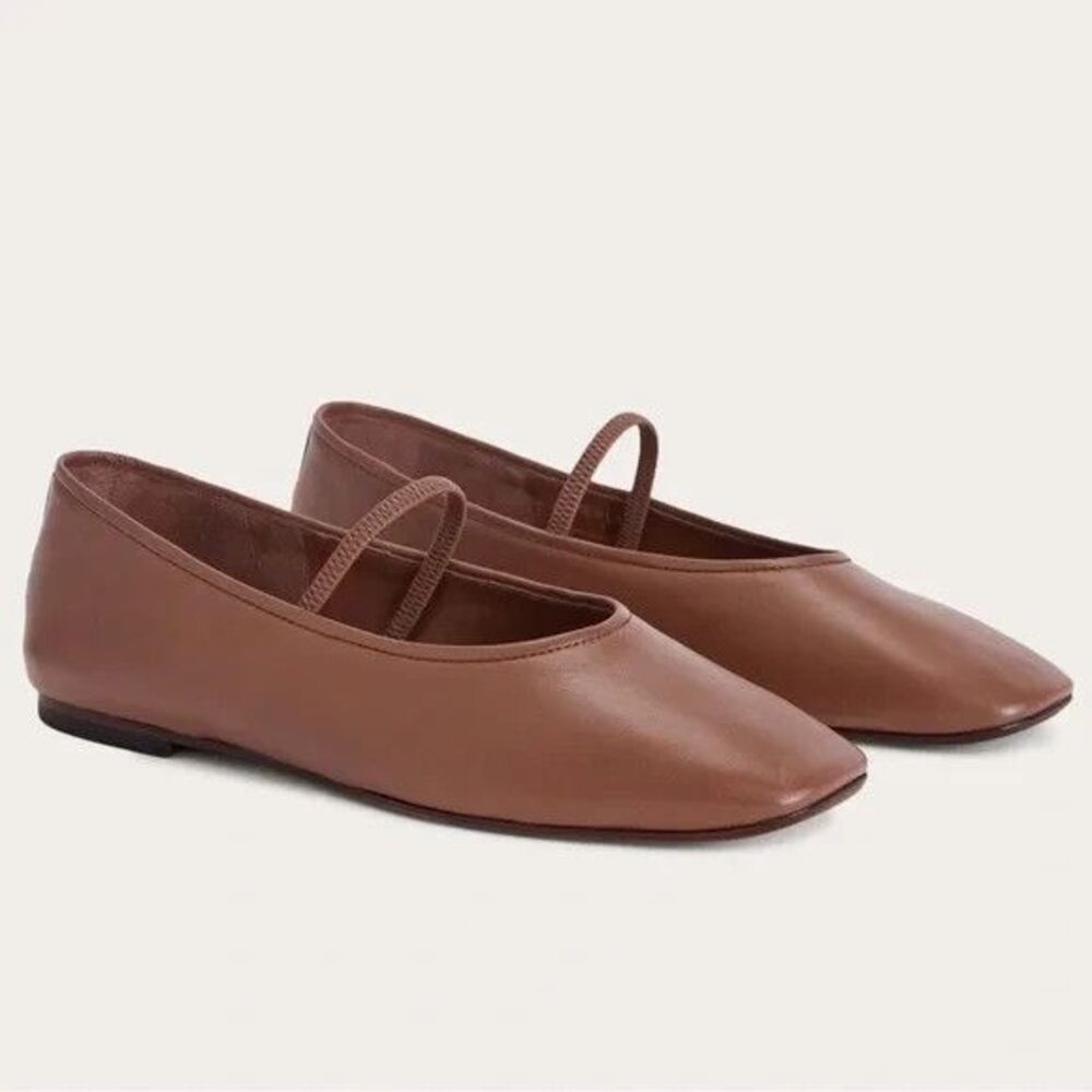 Everlane Brown Leather Ballet Flats with Strap